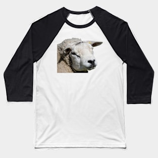 Very Pretty Sheep Baseball T-Shirt